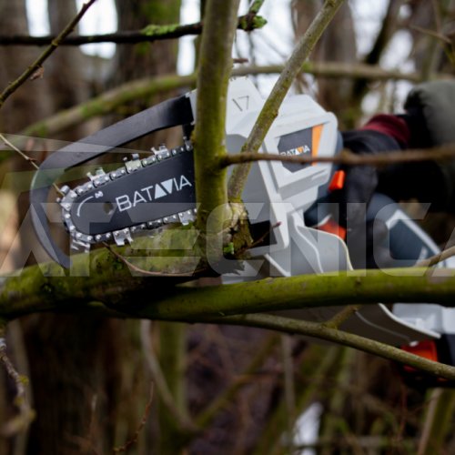 mini-tronconneuse-pour-taille-des-branches-batavia-nexxsaw.jpg