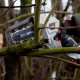mini-tronconneuse-pour-taille-des-branches-batavia-nexxsaw.jpg