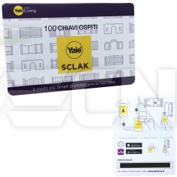 paquet-de-100-codes-cles-visiteurs-pour-yale-sclack-yiscgk10.jpg